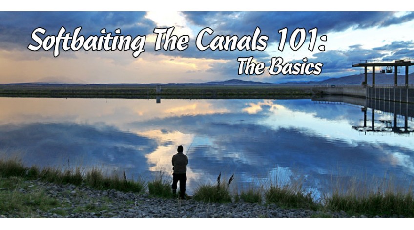 Soft Baiting In the Canals  - 2019 UPDATED